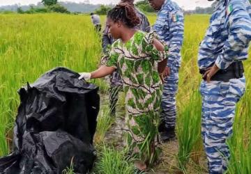 Issia : une jeune femme tuée dans une rizière, la Gendarmerie lance une vaste enquête